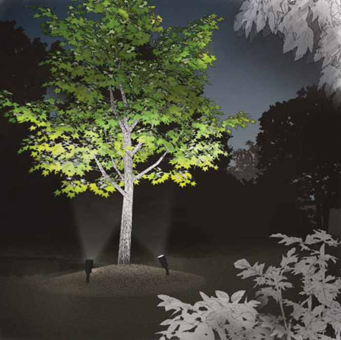 Landscape Lighting What Is Cross Lighting? Global Lighting Forum