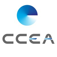 CCEA Lights