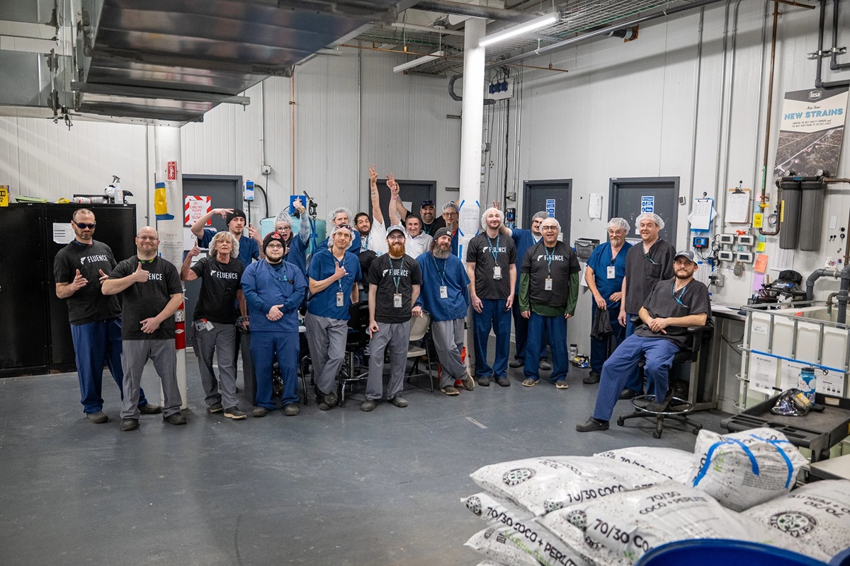 Insa Achieves Exceptional Yields with Fluence LED Technology