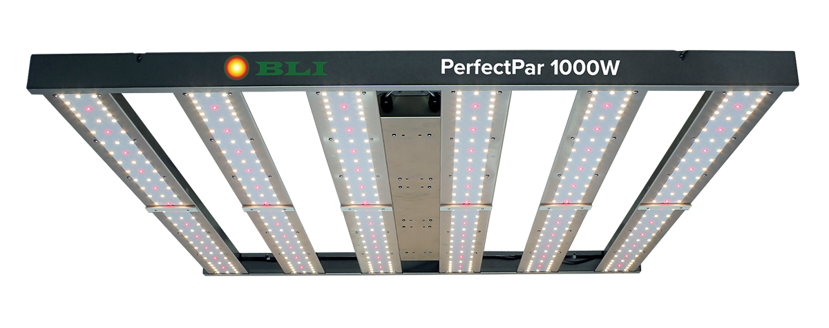 pp-10002-with-tags.png