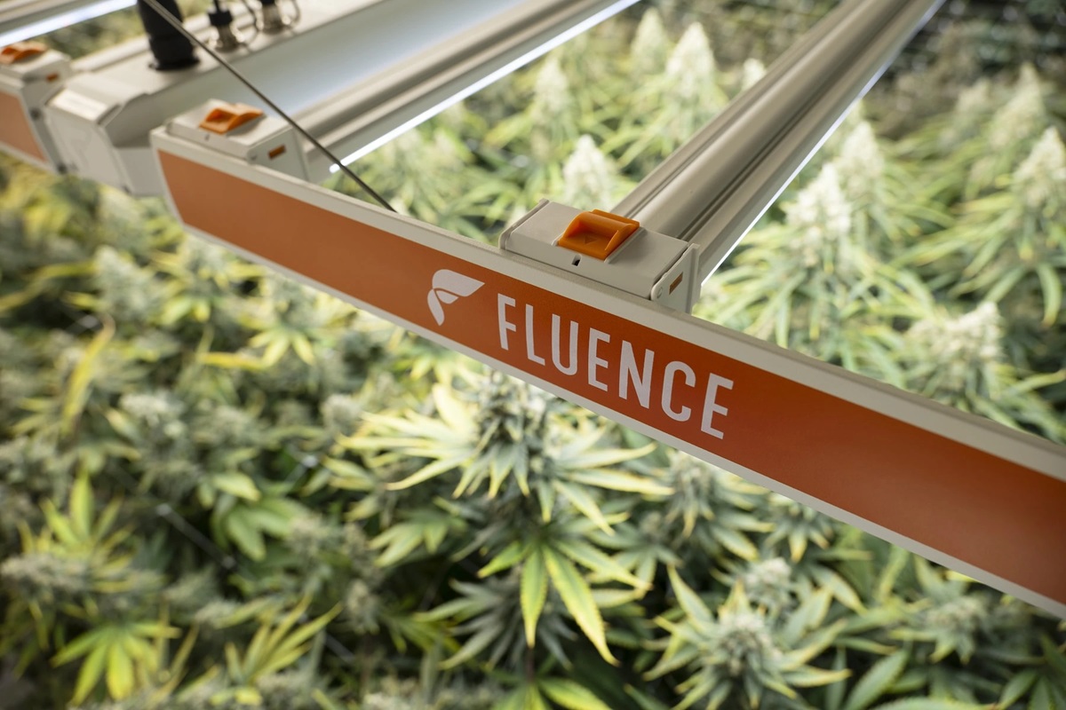 Fluence Debuts SPYDR 3: Pioneering Fixture Upgrades Output and Efficiency for Cannabis Growers