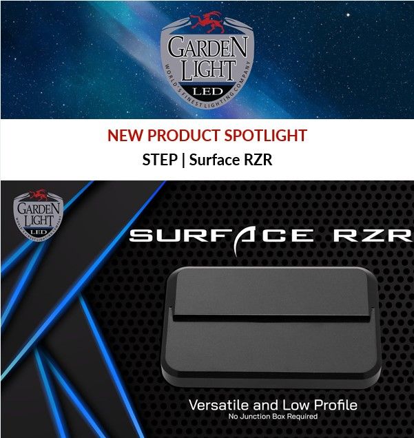 Surface-RZR.jpg