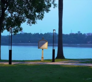 LED light column post-top and area lighting