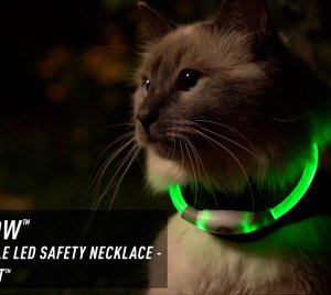 Nite Ize NiteMeow Rechargeable LED Cat Collar Necklace with 360° Glow and Disc-O Mode
