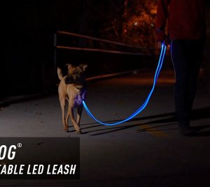 Nite Ize NiteDog Rechargeable LED Pet Leash for Night Walks and High Visibility