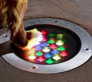 BurstScape In-Grade RGBW LED Luminaire for Landscape and Architectural Lighting