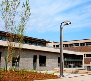 Dark-Sky Approved Sculptural LED Area Light for Parks, Streets, and Pathways
