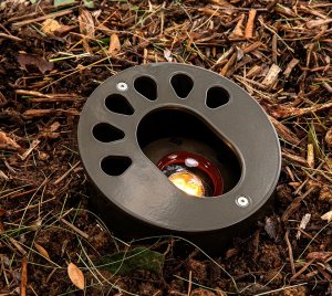 Subterranean LED Well Light with Phase/PWM Dimming and RGBW Color Changing Option via Luxor® ZDC Control System