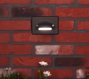 Recessed Brass LED Wall Light with Smart Zoning, Dimming, and Architectural Styling for Landscape and Hardscape Applications
