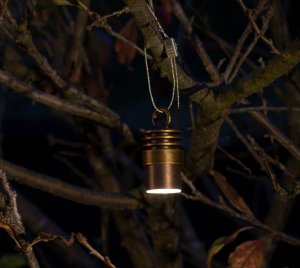 Outdoor Hanging LED Downlight for Landscape and Garden Lighting