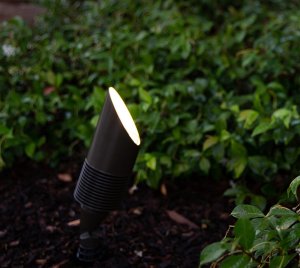 Low Voltage Landscape Accent Light with Firmware-Controlled LED Driver