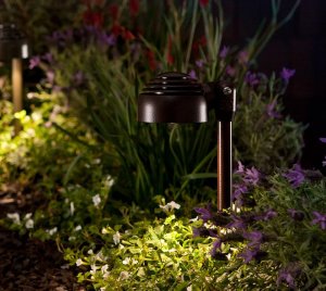 Landscape Path Light with Smart Control and ProAim Adjustability