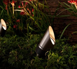LED Spotlight for Landscape Accent Applications with Zoning, Dimming, and Color Control