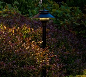 Low Voltage Outdoor Path Light with RGBW Color Control, Multiple CCT Filters, and Field-Replaceable Optics