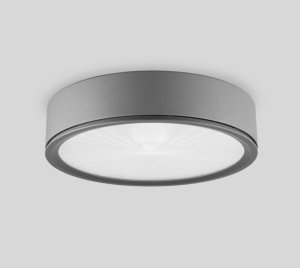 Outdoor LED Ceiling Light with Prismatic Diffuser for Parks, Entrances, and Pathways