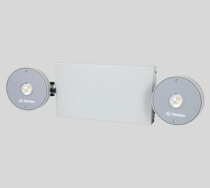 Wall-Mount Twin-Head Adjustable Emergency Spotlight for High Ceilings and Large Rooms