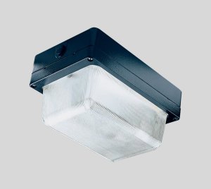 Industrial Grade LED Bulkhead Fixture with IK10 Impact Resistance for Outdoor and Indoor Use