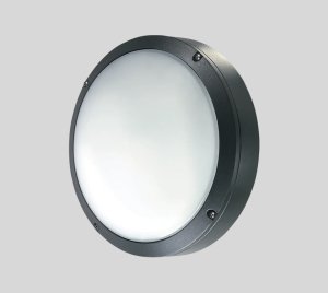 Anti-Ligature IP66 Circular LED Wall Light for for Pathway, Corridor, and Security Lighting