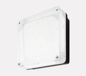 Vandal-Resistant LED Wall Light with Emergency Backup for Security Areas and Precincts