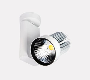 Ceiling-Mounted Adjustable LED Spotlight for Hospitality, Office, and Reception Area Lighting
