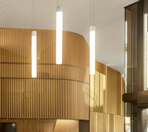 Cylinder Pendant Luminaires with Transparent Cable Suspension for Contemporary Interior Design
