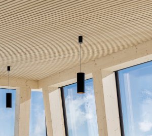 Cylinder Pendant Light with Smart Canopy Options for Offices, Restaurants, and Hospitality Spaces