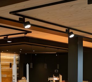 RGBW and Tunable White LED Track Light with Adjustable Zoom Optics