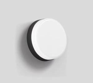 Impact-Resistant Outdoor LED Wall/Ceiling Light with IP65 and Ballproof Ratings