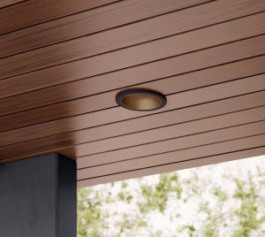 Outdoor Recessed Donwlight with Bronze Inner Finish for Glare-Free Lighting