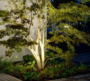 Landscape LED Spotlight for Uplighting Plants, Walls, and Garden Features