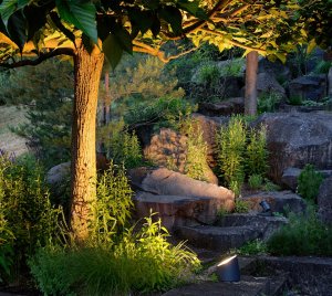 LED Garden Floodlight for Outdoor Living Space and Landscape Accent Lighting