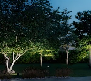 Portable Outdoor Garden Uplight for Patio, Lawn, and Pathway Accent Lighting