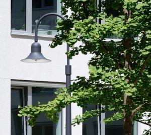 Pendant Street Light with High Optical Efficiency for Public Roads, Plazas, and Pedestrian Zones