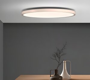 Surface Mount Round LED Ceiling Light with DALI Control and HCL Support for Commercial Interiors