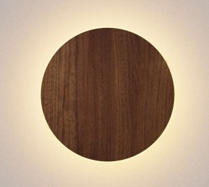 Circular Wall Sconce with Artistic Paintable Face Plate for Indoor and Outdoor Spaces