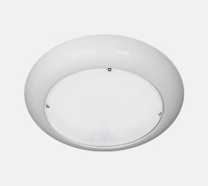 Anti-Ligature IK10 Vandal-Proof LED Ceiling and Wall Luminaire for Secure Mental Health and Correctional Facilities
