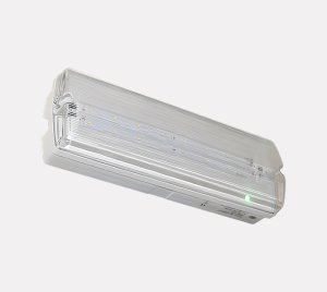 Indoor/Outdoor Emergency Bulkhead Light for Commercial and Industrial Use