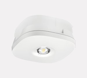 Surface-Mount Non-Maintained LED Emergency Light for Escape Routes and Open Areas