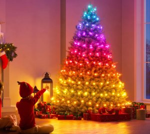 Govee Smart RGBIC Christmas String Light for Indoor and Outdoor Holiday Decoration