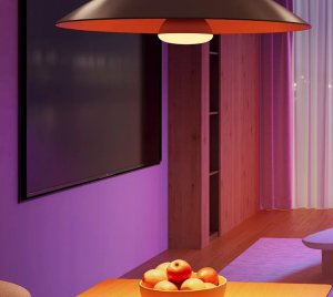 Govee RGBWW Smart BR30 LED Light Bulb for Home Automation with App and Voice Control