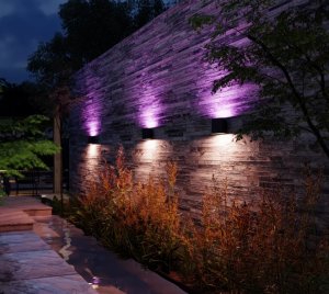 Philips Hue Dymera Smart Dual-Beam Wall Light for Indoor and Outdoor Accent Lighting