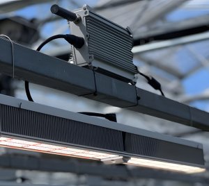 Fluence Wireless Flex Dimming with Bluetooth Mesh for Seamless LED Grow Light Integration