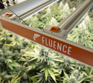 Fluence SPYDR LED Grow Light for Vertical Farms and Controlled Environment Agriculture