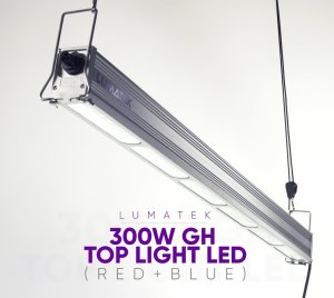 300W Toplight LED Red + Blue Spectrum Grow Light for Compact Greenhouse Installations