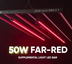 Far-Red 730nm Supplemental LED Light Bar for Improving Crop Photosynthesis and Morphological Responses
