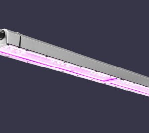 Water-Cooled LED Grow Light for Vertical and Indoor Farming Systems