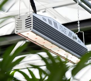 Supplemental LED Greenhouse Grow Light With Slim Profile for Truss Mounting