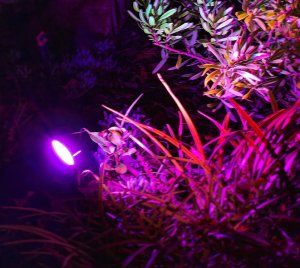 LIFX Smart Outdoor Spot Light with Wi-Fi and Voice Control for Low Voltage Garden Lighting
