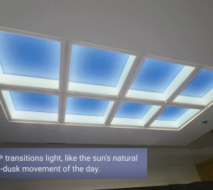 Cree Cadiant Artificial Skylight LED Fixture for Human-Centric Lighting