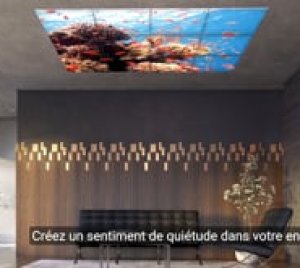 Axis Tranquility Biophilic LED Ceiling Lights for Pediatric and NICU Human-Centric Lighting Applications